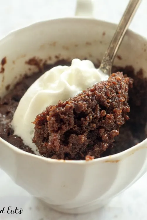 Keto Mug Brownie