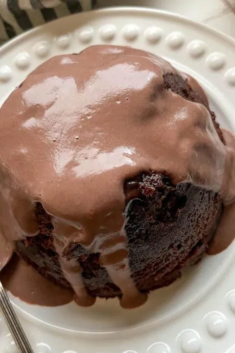 Microwave Chocolate Sponge Pudding Recipe 
