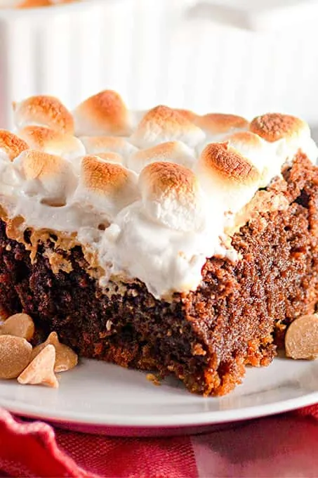Peanut Butter S'mores Brownies