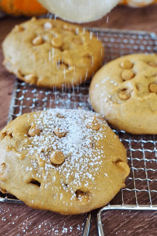 Soft Pumpkin Cookie Recipe