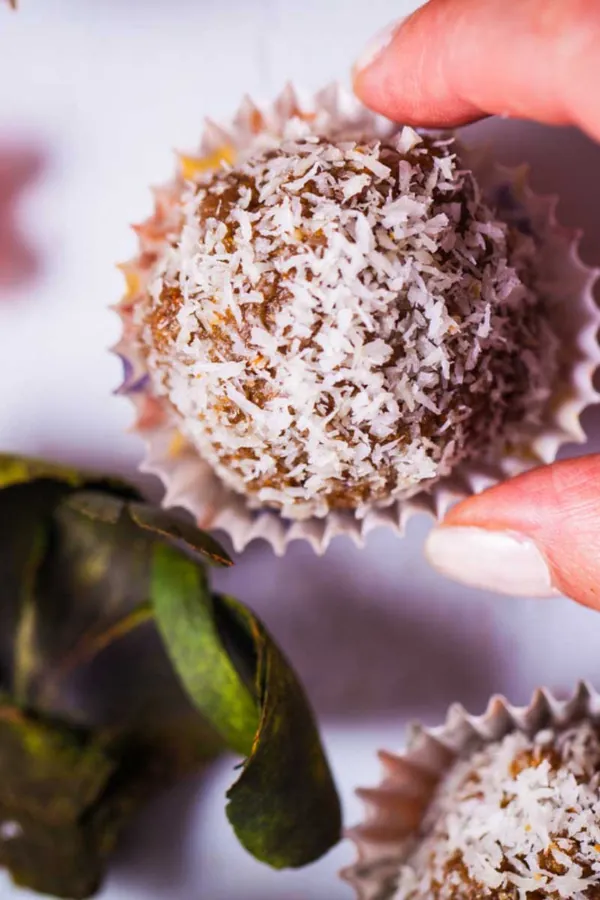 Toasted Steel-Cut Oats Energy Balls With Dates