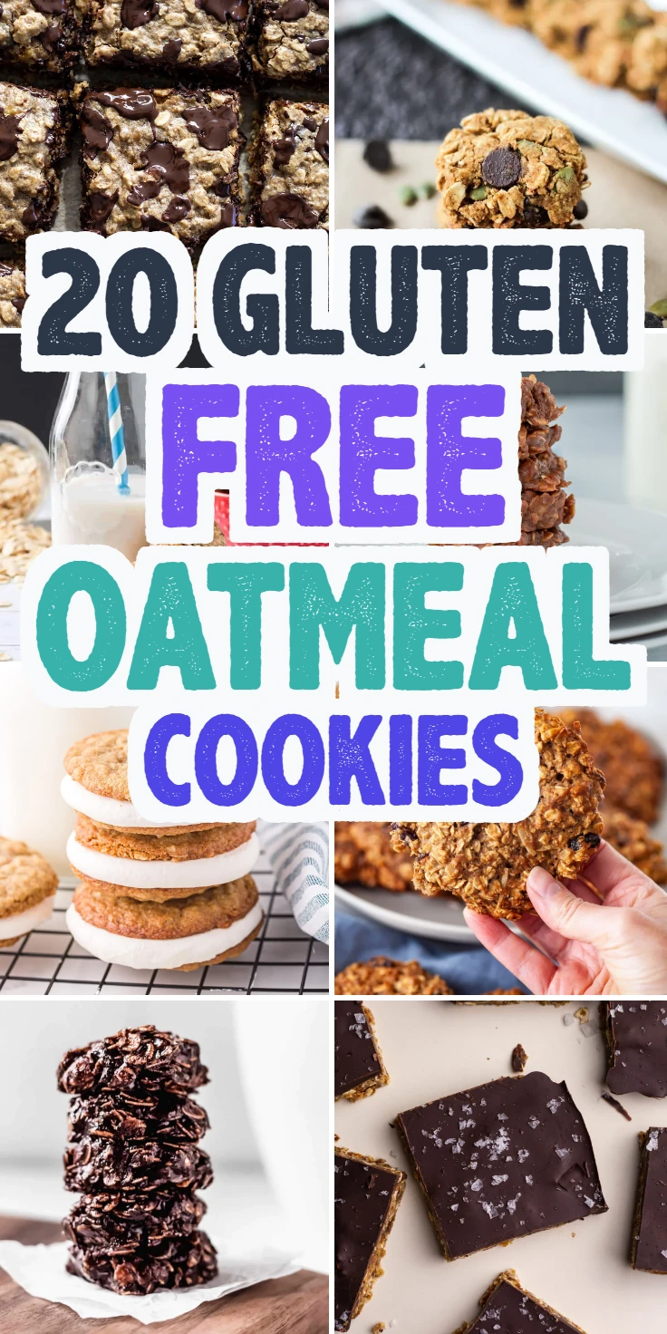 Gluten Free Oatmeal Cookies