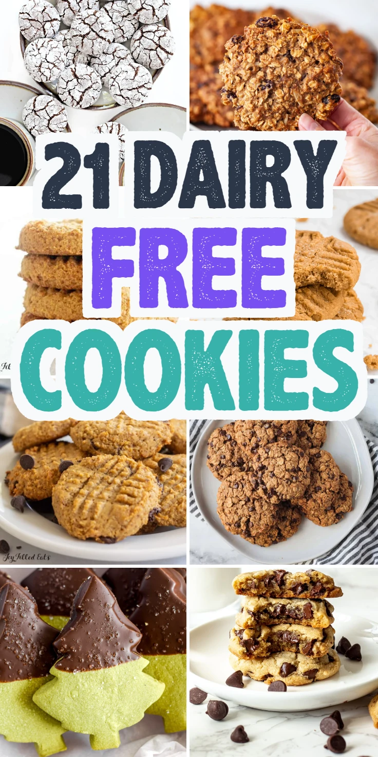 Dairy Free Cookies