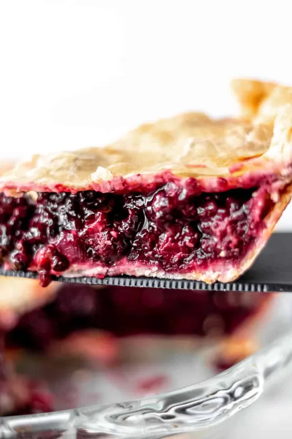 Blackberry Pie