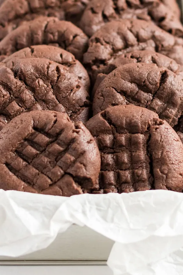 Chocolate Peanut Butter Cookies