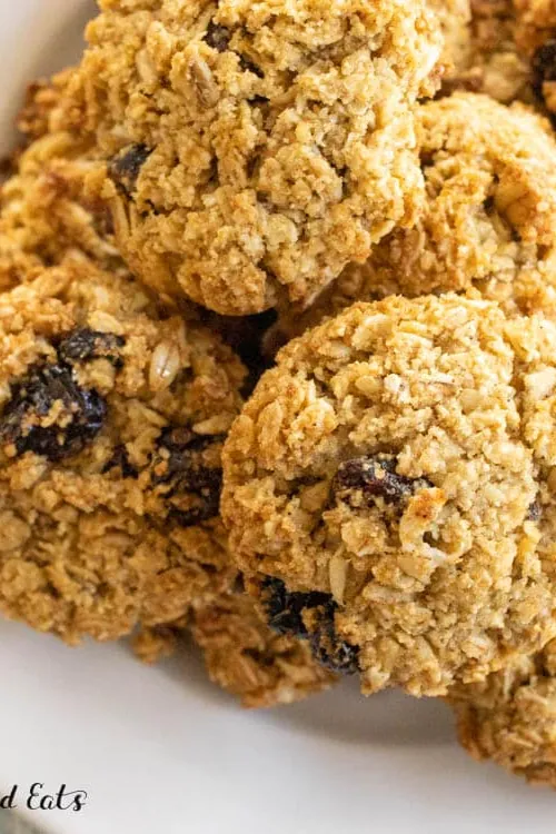 Coconut Flour Oatmeal Cookies
