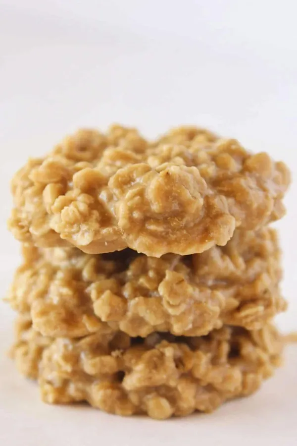 Copycat Trader Joe's No Bake Cookie Butter Cookies