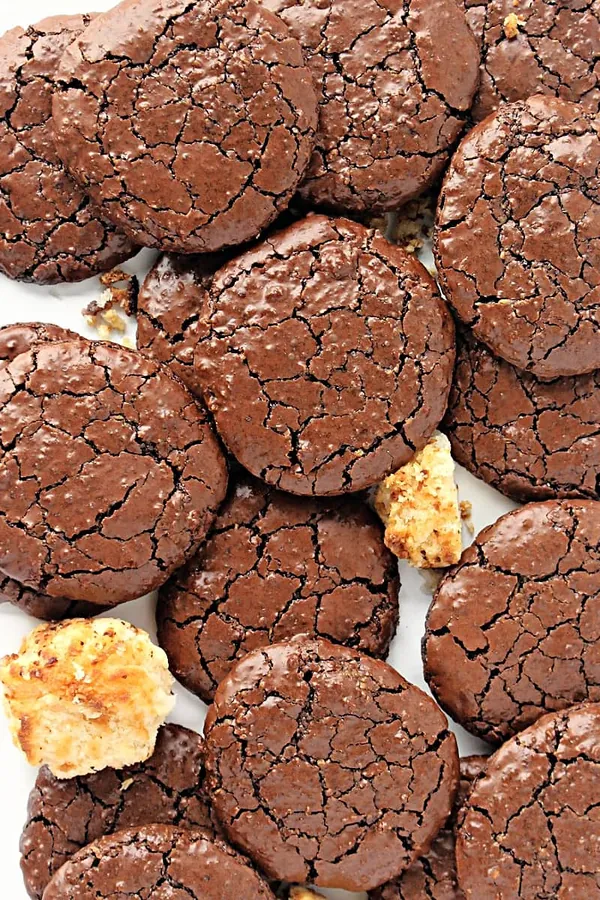 Gluten Free Chocolate Cookies with Coconut