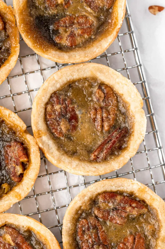Gluten-Free Maple Butter Tarts with Pecan Filling