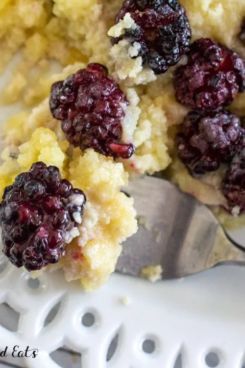Keto Blackberry Cobbler