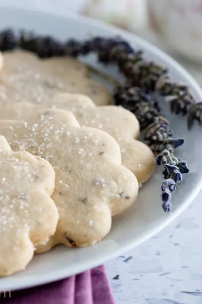 Lavender Shortbread Cookies
