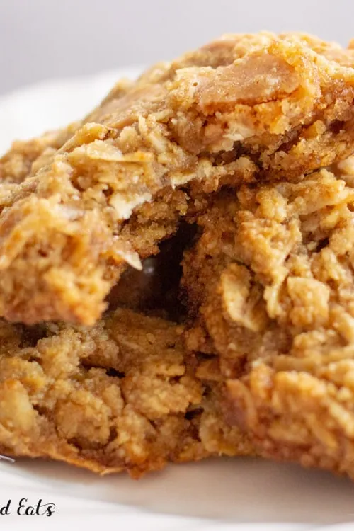 Low Carb Oatmeal Cookies