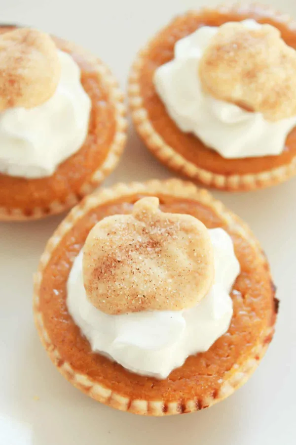 Miniature Pumpkin Pies