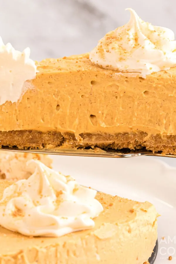 No Bake Pumpkin Cheesecake