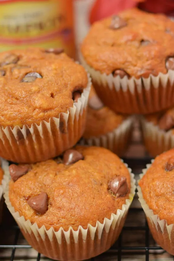 Pumpkin Banana Chocolate Chip Muffins