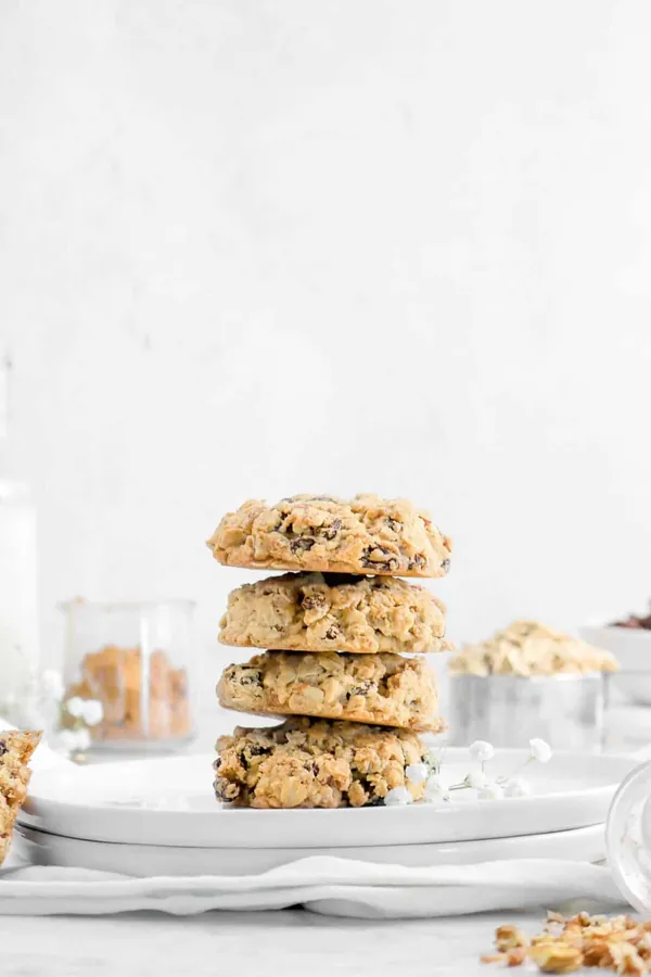 Soft and Chewy Oatmeal Cinnamon Raisin Pecan Cookies