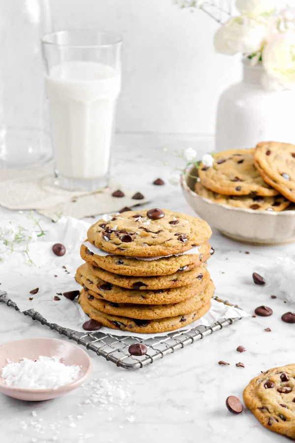 Soft Vegan Chocolate Chip Cookies