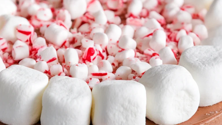 Sous Vide Peppermint Hot Chocolate Cheesecakes - Featured